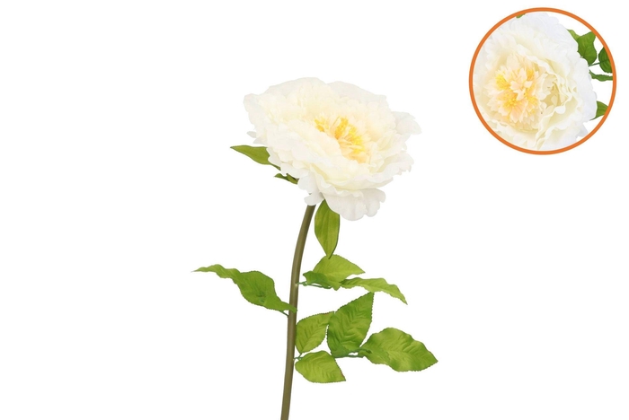 Silk Amazing Peony Beauty Cream Xl 38x115cm