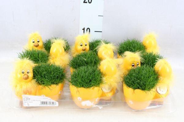 <h4>Arr.   Kamerplant Groen L%</h4>