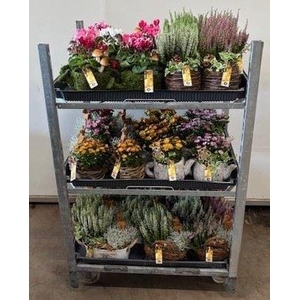 Mix EC Najaarsarrangementen