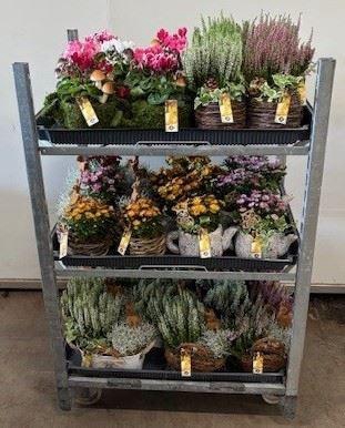 <h4>Mix EC Najaarsarrangementen</h4>