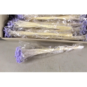 DF Hill Fl. Bs Milka 100g poly