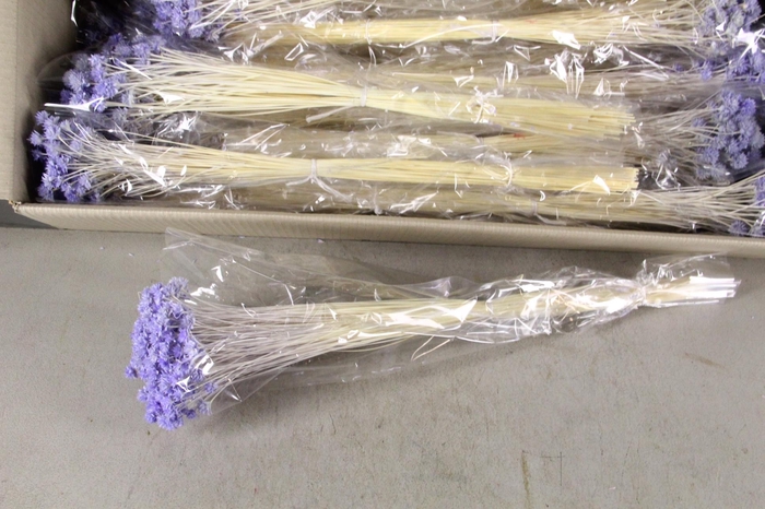 <h4>DF Hill Fl. Bs Milka 100g poly</h4>