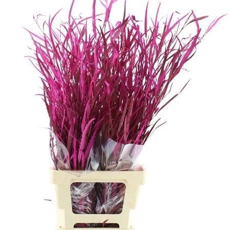 <h4>DECOGROEN OV KLB H%</h4>