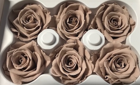 Rose Ines Sand Beige