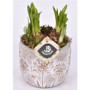 Narcis 21232 Cement Pot Bloemdecor