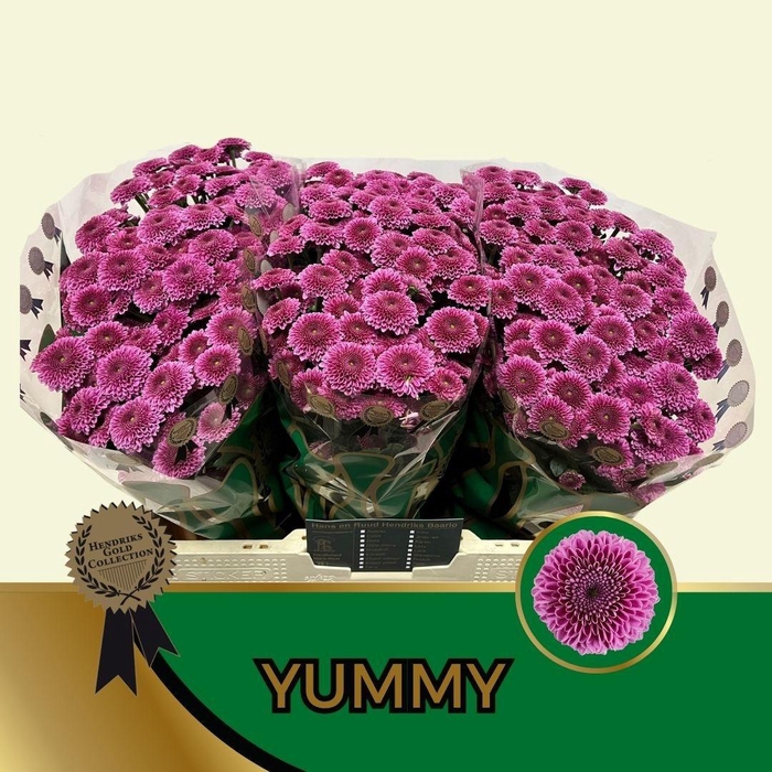 <h4>CHR S YUMMY</h4>