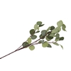 Silk Eucalyptus Branch Green 17x90cm