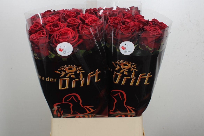 <h4>R Gr Red Naomi!</h4>