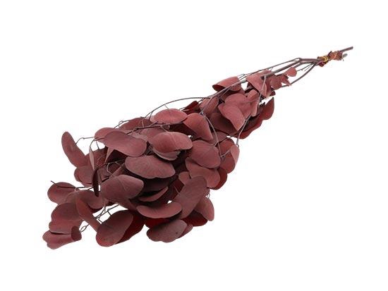 Bunch Euca Populus Pres.150g