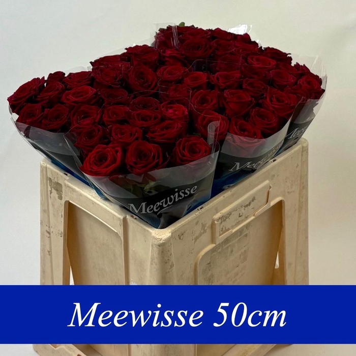 <h4>R GR RED NAOMI!</h4>