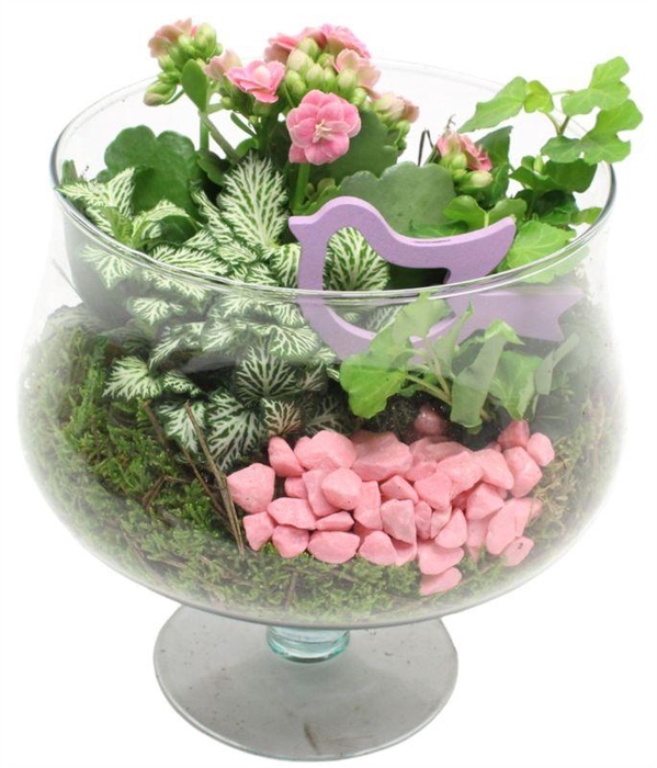 8780 GLAS OP VOET RO/WIT