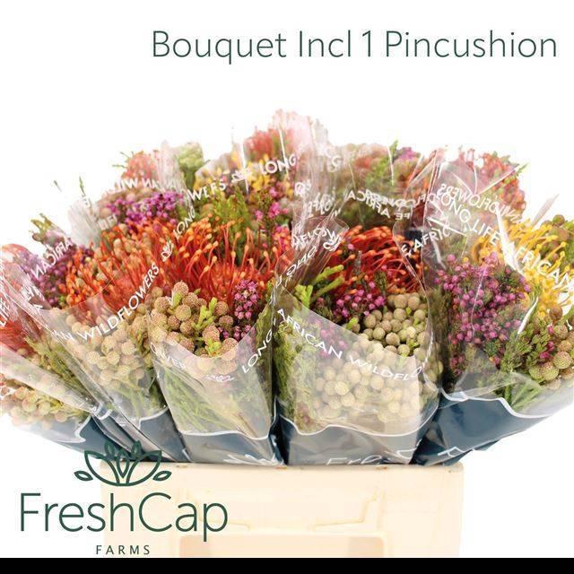 <h4>KAAPS GROE GEM IN BS</h4>