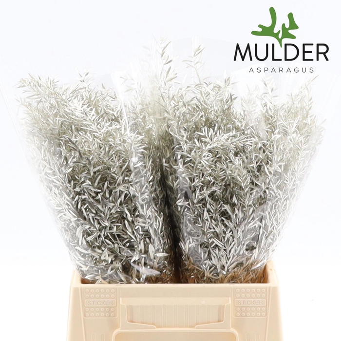 <h4>ASP DE CWEBE KLB H%</h4>