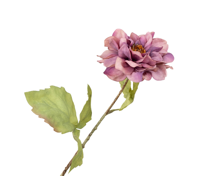 <h4>Dahlia Pink</h4>