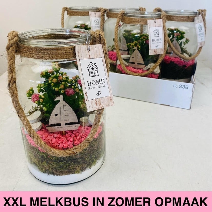 <h4>ARR KAMERPL</h4>