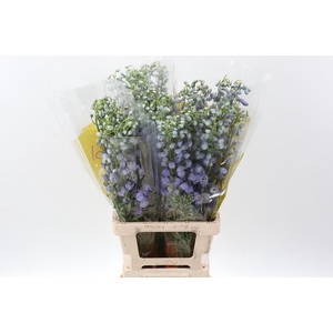 Delph Serena Lavendel