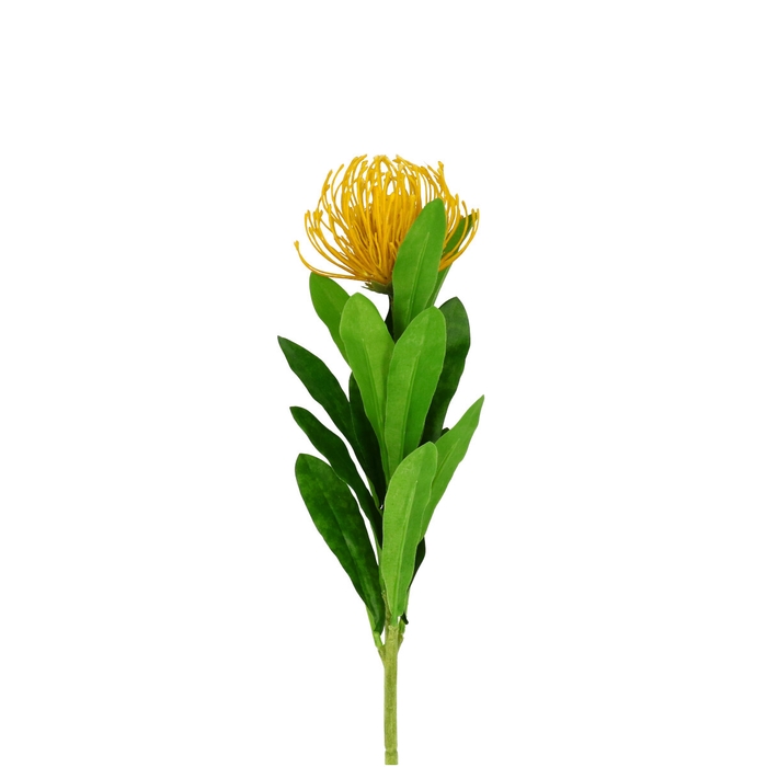 <h4>Artificial flowers Leucospermum 66cm</h4>