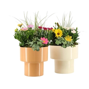 Arrangementen Tuinplanten H%