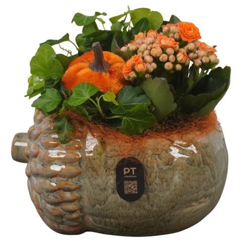 <h4>PTHI3268 Arrangement Autumn Indoor in keramiek pot in noot vorm</h4>