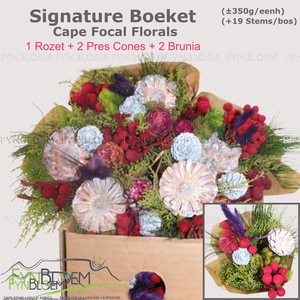 KAAPS GROE GEM IN BS