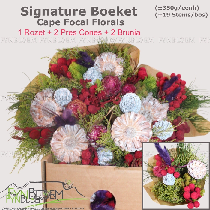 <h4>KAAPS GROE GEM IN BS</h4>