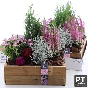 ARR TUINPLANTEN