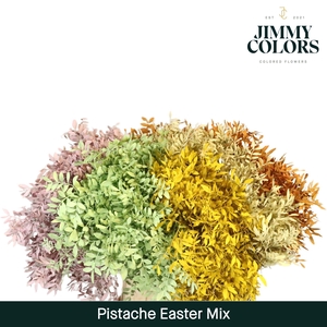 Pistache L45 Easter mix