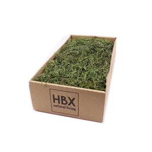 Dried articles Tillandsia moss 350g