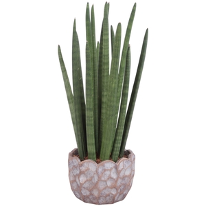 Sansevieria Cylin, Straight 14 Leaf Ø15cm in Ø18cm Ceramic PL670