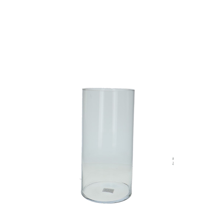 <h4>Glas Cilinder d20*40cm</h4>