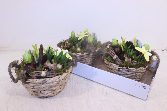 <h4>ARR BOL KNOLGEWAS</h4>