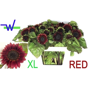 HELI OV XL RED