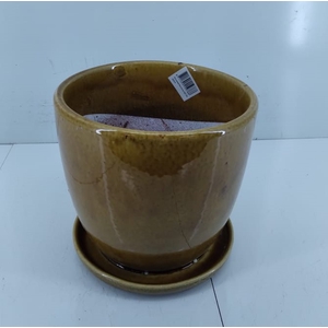 VASO COM PRATO RICO HONEY D22 A20 IMP