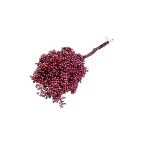 Dried schinus mollis paint bordeaux