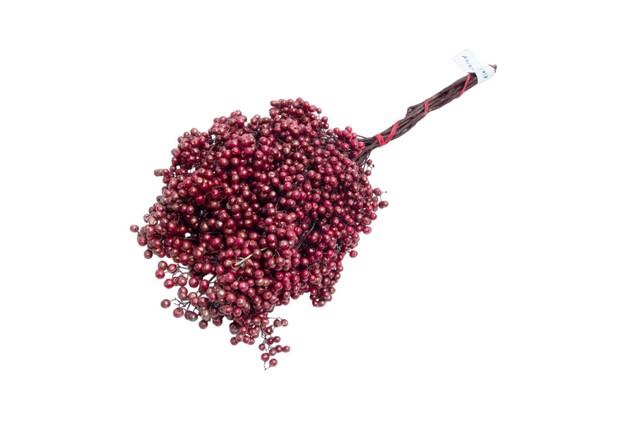 <h4>Dried schinus mollis paint bordeaux</h4>