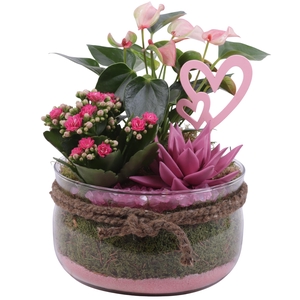 Mothersday Arr. Indoor Glass Bowl with Rope Ø20cm 3PP