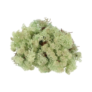 Mos Iceland Mintgroen 500 Gram