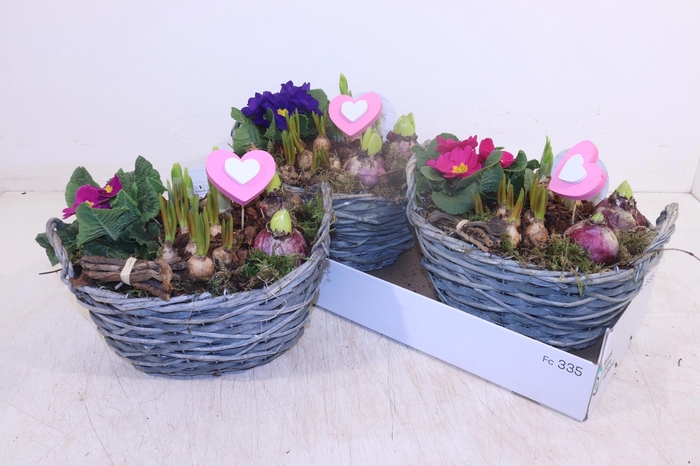 <h4>ARR PL IN SCHAAL</h4>