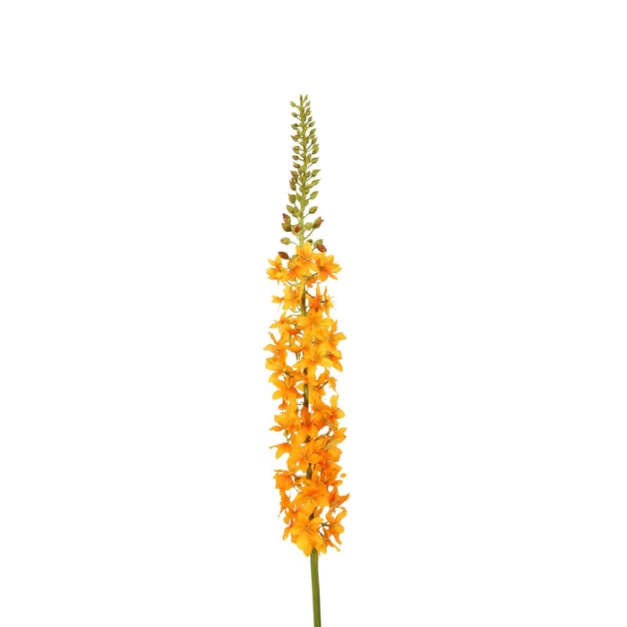 Artificial flowers Eremurus 94cm