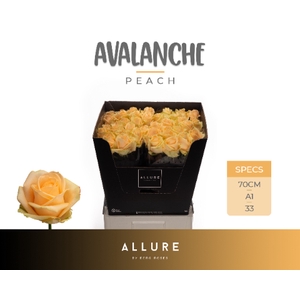 R GR AVALANCHE PEACH+ ALLURE .