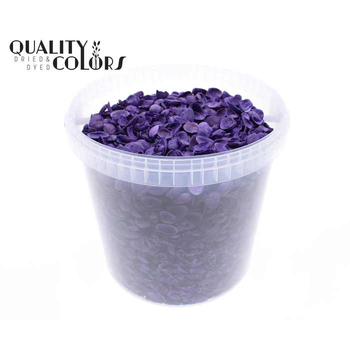 <h4>Shells north sea 10 ltr Purple</h4>