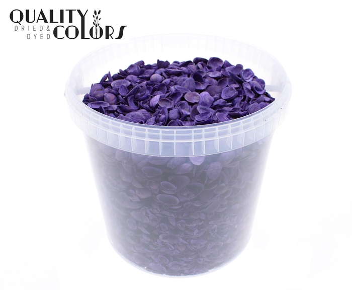 Shells north sea 10 ltr Purple