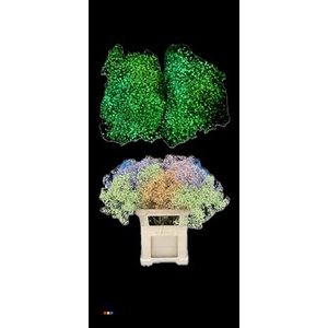 Gyps Xlence Rainbow Glow In The Dark