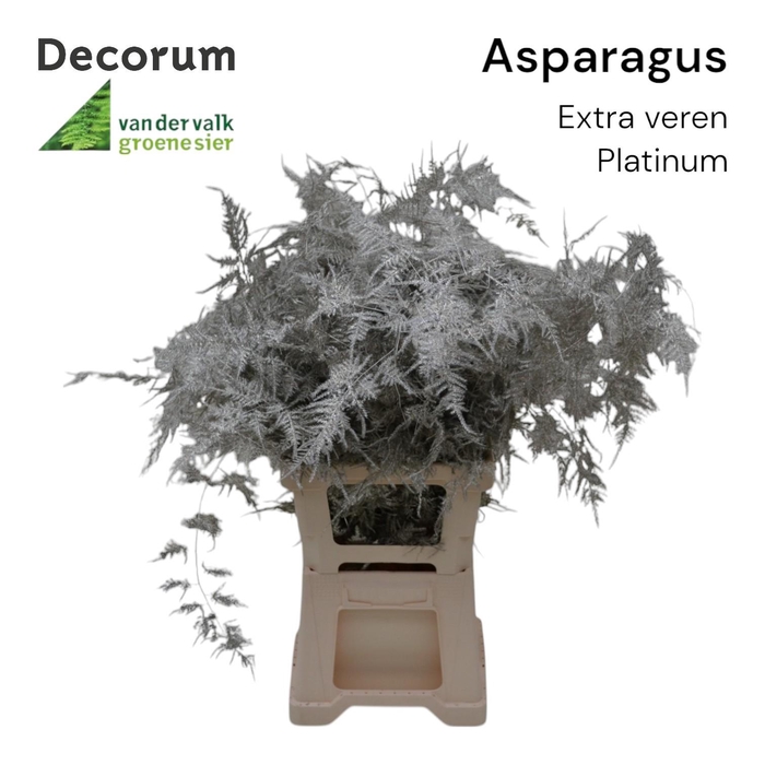 <h4>Asp extra veren Platinum</h4>