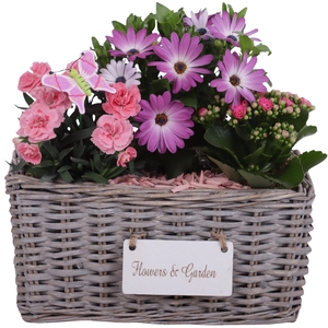 Spring Flower Arr. Outdoor Willow Basket Flowersign Ø25cm 3PP