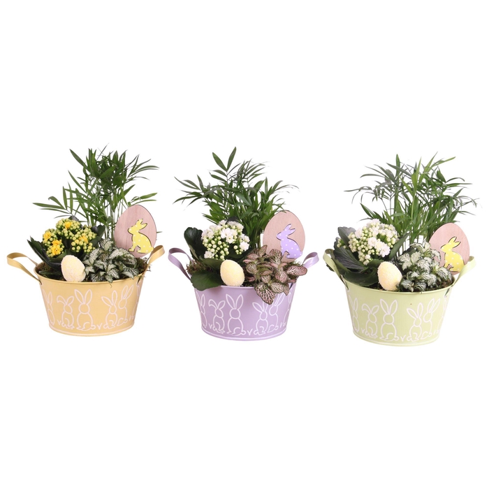 <h4>Easter Arr. Indoor Zinc Pot Round Bunny Relief Ø17cm 3PP</h4>