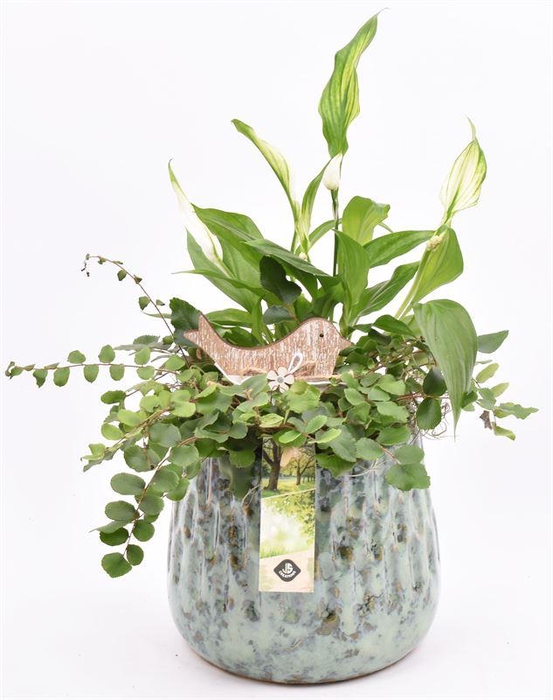 <h4>Keramiek pot gr/bl 11/13cm</h4>