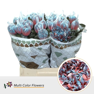 Chr. G 'Antonov' DYED Blue Terra