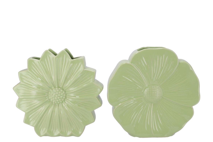Bloom Green Vase Daisy Ass 40x11x40cm Nm