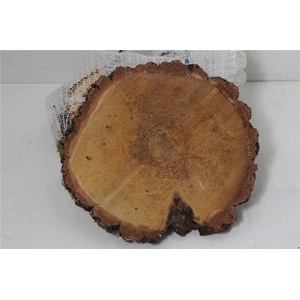 Deco Berkenschijf 28-32cm